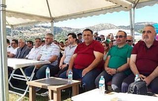 Şeyh köyünde armut ve çilek festivali