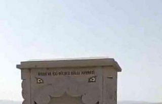 Sıcaktan bunalan köpeğe elleri ile su verdi