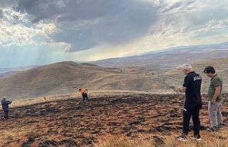 Sigara izmaritinden çıkan yangın 45 dönümlük...