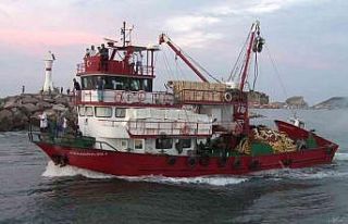 Şile’de balıkçılar yasağın bitmesiyle ’vira...