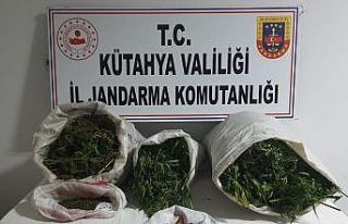 Simav’da 27 kilo kubar esrar ile yakalanan 2 zanlıdan...