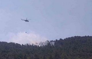 Şimşekler orman yangını çıkardı