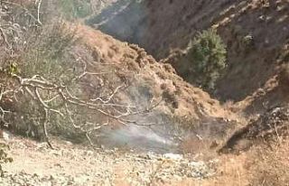 Sincik’te korkutan yangın