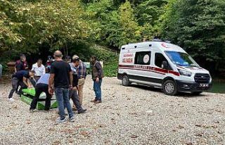 Sinop Erfelek Şelaleleri’nde ağaç devrildi: 2...