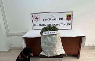 Sinop’ta 2,68 kilo esrar ele geçti: 1 gözaltı
