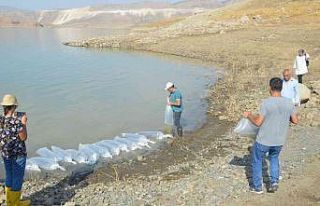 Şırnak’taki barajlar sazanla canlanıyor