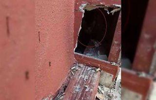Sivas’ta baca oluğunda mahsur kalan yavru kediler...