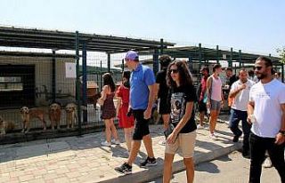 Sokak Hayvanları Bakımevi’nden geri dönüşüme...