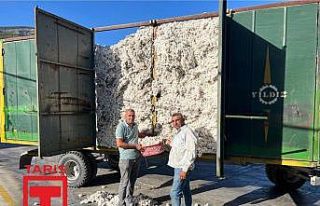 Söke TARİŞ Pamuk Kooperatifi pamuk alımına başladı
