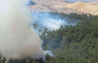 Soma’da orman yangını