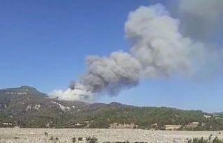 Söndürülen yangın zirveden patlak verdi