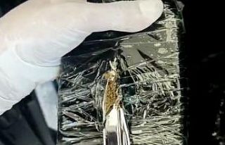 Şüphe üzerine durdurulan minibüste 12 kilo esrar...