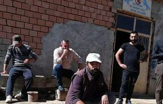 Sürüye dalan 2 kurt 5 koyunu telef etti