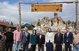 Tarihi Maltaş Tapınağı’nda restorasyon çalışmaları...