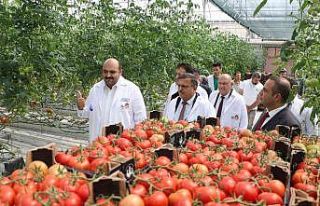 Tarım Kredi kurmayları termal seralara hayran kaldı