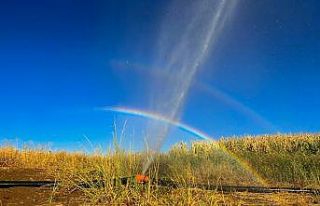 Tarım sulama borusu patladı, oluşan gökkuşağı...