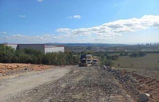 Tatlıkuyu Mahallesi’nin cadde ve sokakları asfaltlandı