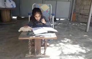 Tavuk ile çocuğun dostluğu gülümsetti