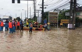 Tayland’da tavuk çiftliğini su bastı: 140 bin...