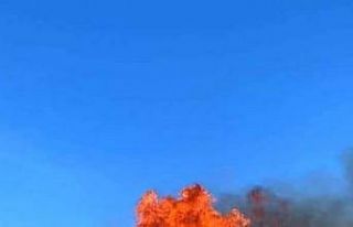 Tekirdağ’da zeytinlik alev alev yandı