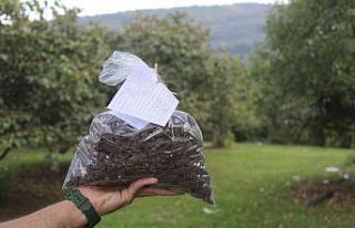 Tekkeköy’de tarıma bilimsel dokunuş