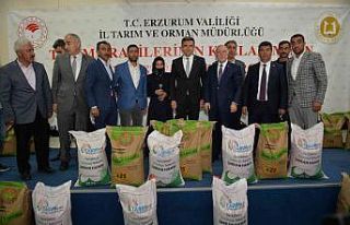 Tekman’da çiftçilere 20 ton buğday tohumu dağıtıldı