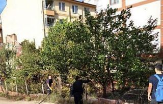 Terk edilmiş evin bahçesinde yangın çıktı