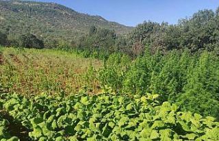 Terör örgütü PKK’nın finans kaynaklarına darbe:...