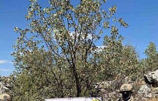 Terör örgütüne ait yaşam malzemesi bulundu