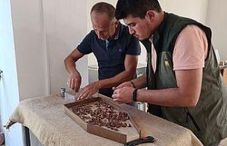 TMO Zonguldak’ta 427 ton fındık aldı