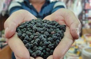 Tohumunu yurt dışından getirdi, büyük talep görüyor