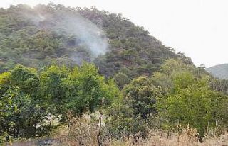 Tokat’ta ormanlık alanda yangın