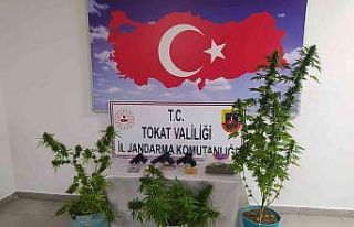 Tokat’ta uyuşturucu operasyonu: 2 gözaltı