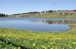 Trabzon’da kuraklığa karşı önlem göletler