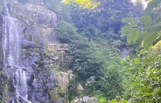 Trabzon’da trafik kazasında hayatlarını kaybeden...