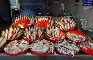 Trabzon’da yeni balık av sezonunun ilk günü palamutta...