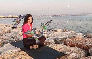 Türk akademisyen sanal meditasyonu Silikon Vadisine...