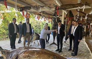 Türkiye Deniz Canlıları Müzesi’ne anlamlı ziyaret