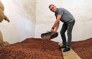 Üreticiler TMO’ya yöneldi