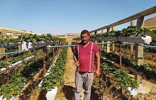 Üretime kat attı, bir dikti üç aldı