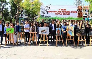 Uşak Belediyesi’nden can dostlar için ‘Çek...
