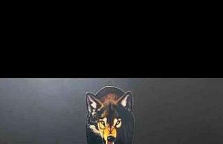 Uyuşturucu operasyonunda 2 bin 794 adet sentetik...