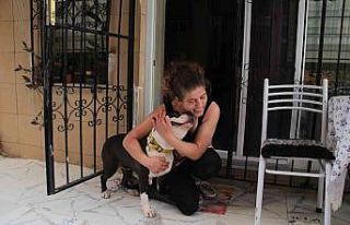 Uyutulmak istenen köpeğe kıyamadı, komşusuyla...