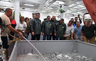 Vali Şıldak, istavrit çekti