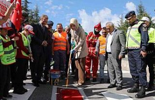 Vali Yiğitbaşı yaya önceliğine dikkat çekti