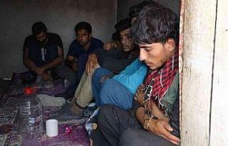 Van’da kömürlükte 13 göçmen yakalandı