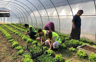 Yabancı gençler, Kastamonu’da çevreyi temizledi,...