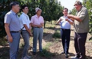 Yalova’ya gelen Güney Kore heyetinden araştırma...