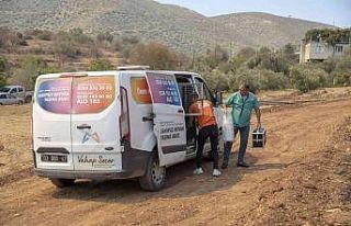 Yangın bölgesindeki hayvanlar için mama ve su bırakıldı