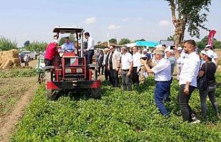 Yerli ve milli “Ayşehanım” yer fıstığının...